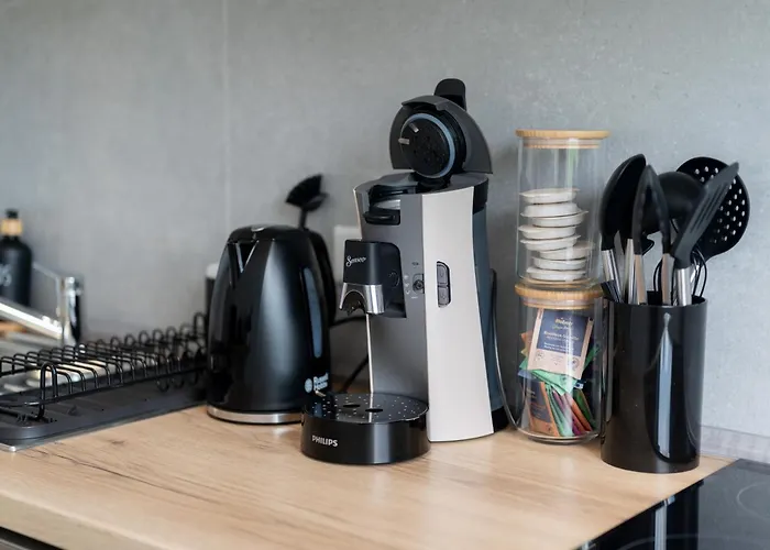 Lifestyle Penthouse Ludwigshafen